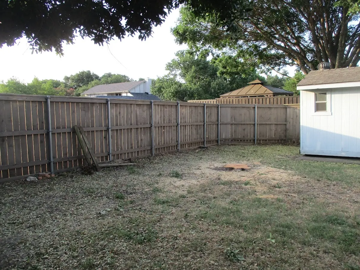Cleared yard after professional tree removal in Mulberry